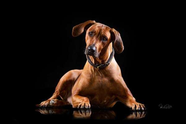 Photoshop und Co.-Beitrag-Bild