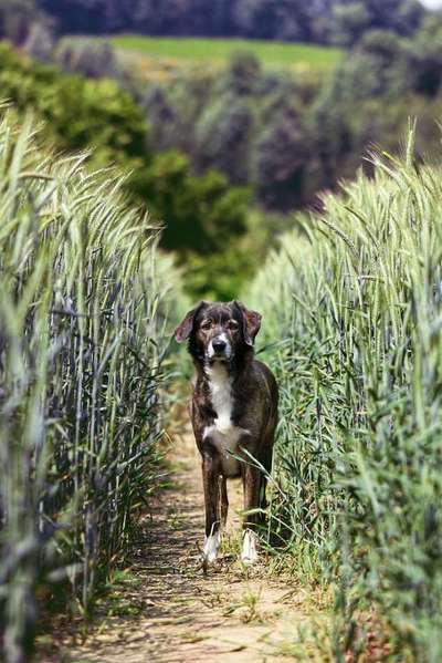 Austausch zur Fotografie-Beitrag-Bild