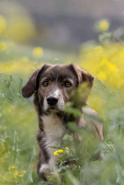 Austausch zur Fotografie-Beitrag-Bild