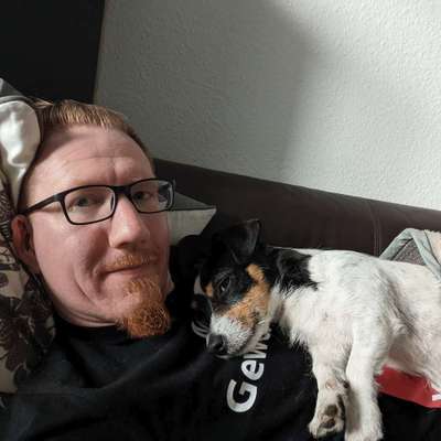 Hundetreffen-Spielerunde