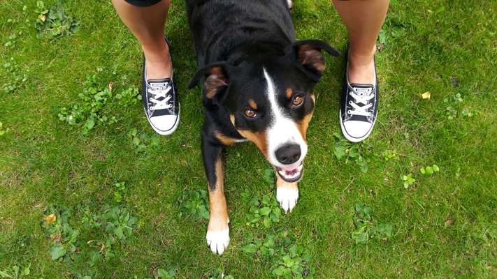 Handy-Foto Challange Nr. 10-Beitrag-Bild