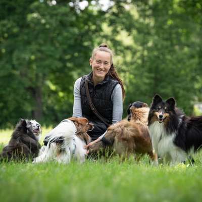 Hundeschulen-Hundeschule Teamsache-Bild