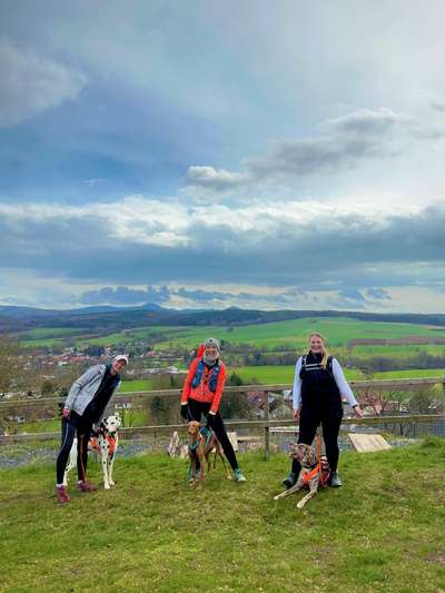 Giftköder-Hundeschule und Touren-Bild