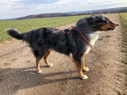 Fotochallenge Nr 50 Vom Winde verweht-Beitrag-Bild