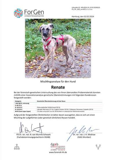 Windhunde - Treffen der besonderen Schönheiten
HERZLICH WILLKOMMEN-Beitrag-Bild