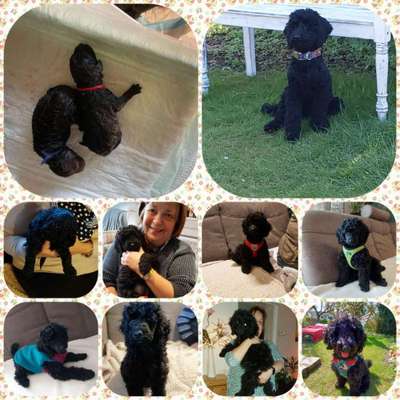 Sie werden so schnell groß!-Beitrag-Bild