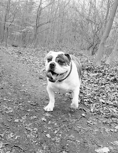 Vorurteile-Beitrag-Bild