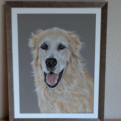 aktuelles Foto Gruppe Golden Retriever