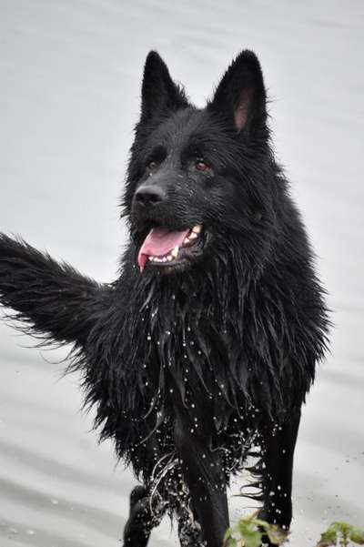 Zeigt eure Portraits-Beitrag-Bild