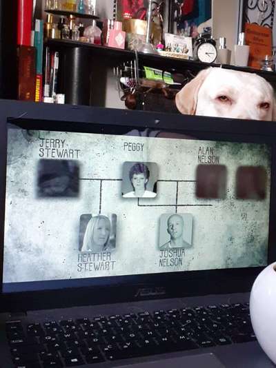 Fotochallange Nr. 6 Die irrsten Blicke-Beitrag-Bild