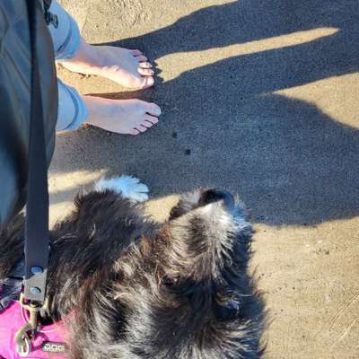 37. Collagen Challenge- Am Strand-Beitrag-Bild