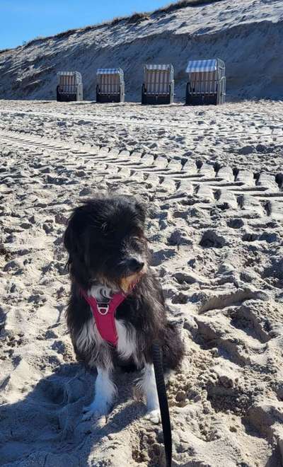 37. Collagen Challenge- Am Strand-Beitrag-Bild