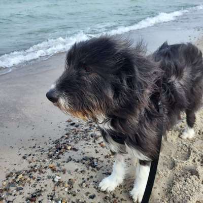 37. Collagen Challenge- Am Strand-Beitrag-Bild