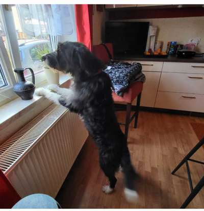 45. Handy - Foto - Challenge-Beitrag-Bild