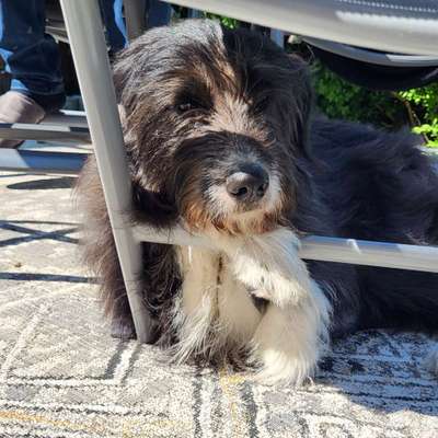 Foto Challenge Nr. 136-Beitrag-Bild