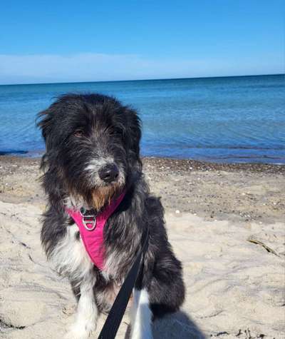 37. Collagen Challenge- Am Strand-Beitrag-Bild