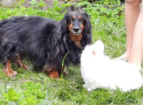 14. Farbenfoto-Challenge "Weiss"-Beitrag-Bild