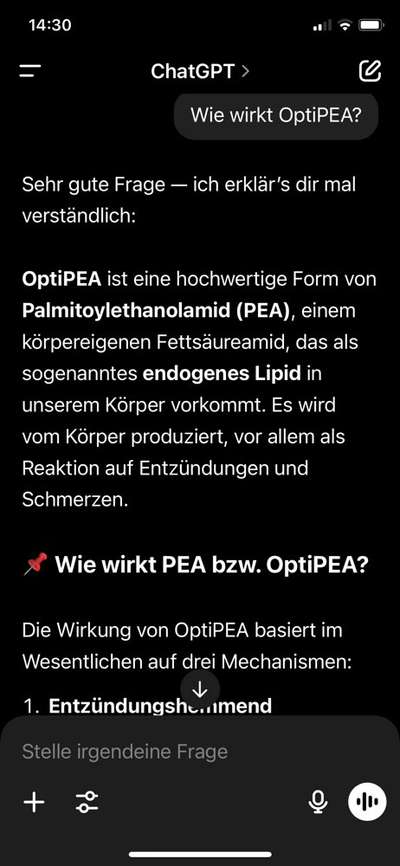 Osteosarkom Senior-Beitrag-Bild