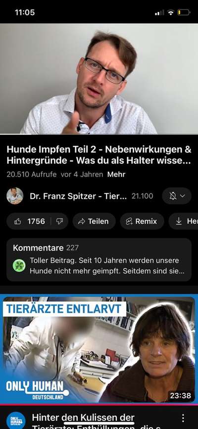 Impfung Tollwut - Gesicht angeschwollen-Beitrag-Bild