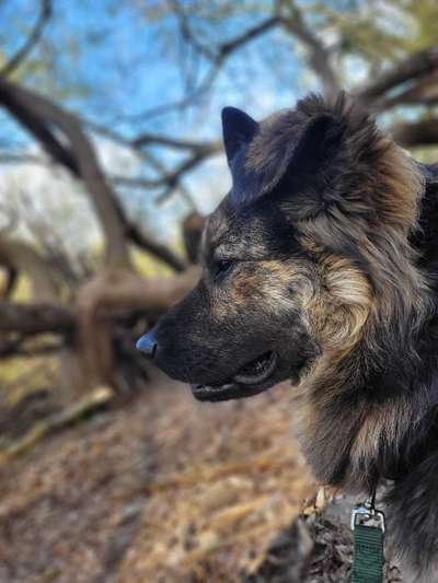 Foto Challenge Nr. 79-Beitrag-Bild