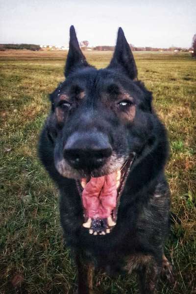 Challenge Nr. 10: "Das schönste Lächeln"-Beitrag-Bild