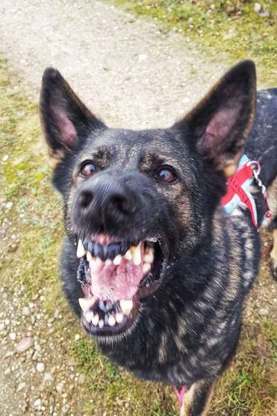 Challenge Nr. 10: "Das schönste Lächeln"-Beitrag-Bild