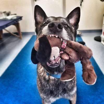 Challenge Nr. 10: "Das schönste Lächeln"-Beitrag-Bild