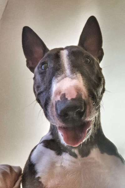 Challenge Nr. 10: "Das schönste Lächeln"-Beitrag-Bild