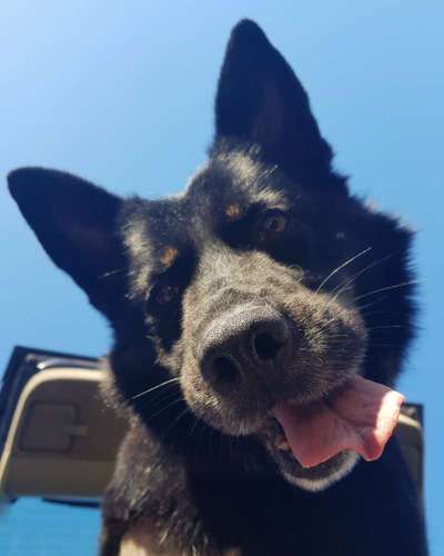 Challenge Nr. 10: "Das schönste Lächeln"-Beitrag-Bild