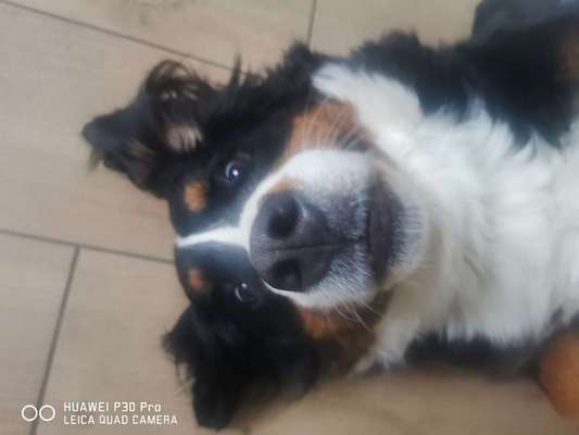 Handy-Foto Challange Nr. 10-Beitrag-Bild