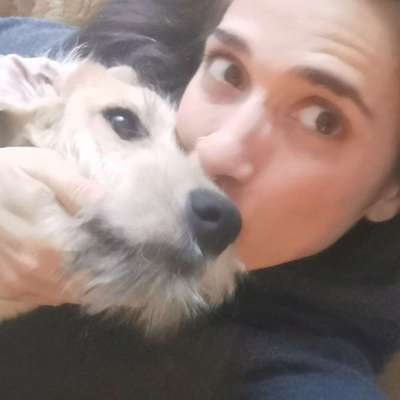 Hundetreffen-Spielpartner gesucht-Profilbild