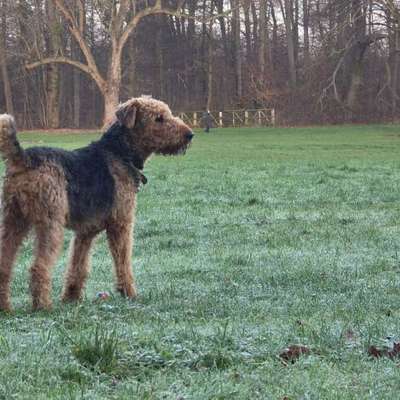 Suchmeldung-Vinci-Bild