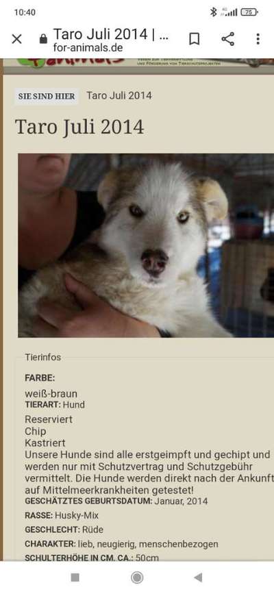 Hundefutter REICO - Erfahrungsaustausch und Meinungen-Beitrag-Bild