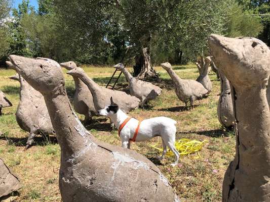 82. Foto Challenge: Skulptur/ Denkmal-Beitrag-Bild