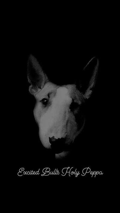 Photoshop und Co.-Beitrag-Bild