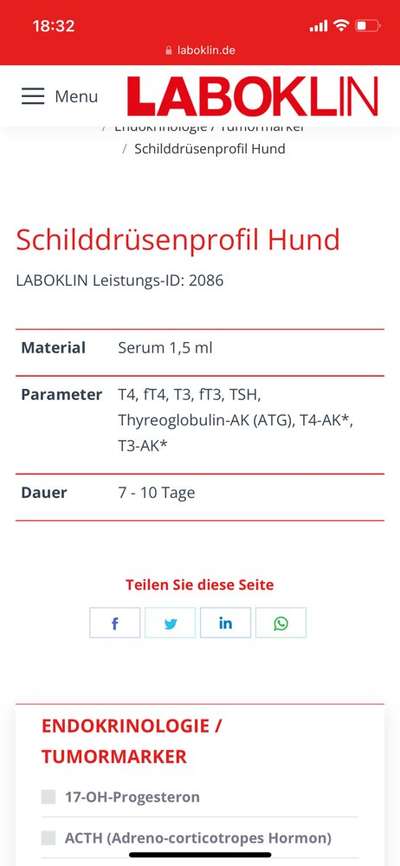 Thema Schilddrüse-Beitrag-Bild