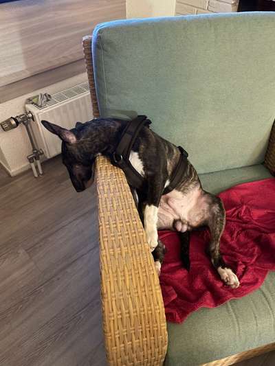 Verrückte Schlafpositionen-Beitrag-Bild