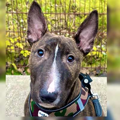 Fotochallange Nr. 57     PORTRÄT.   Beendet!!!!!!!!-Beitrag-Bild