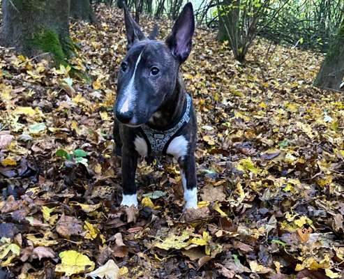 Lieblingsbild-Beitrag-Bild