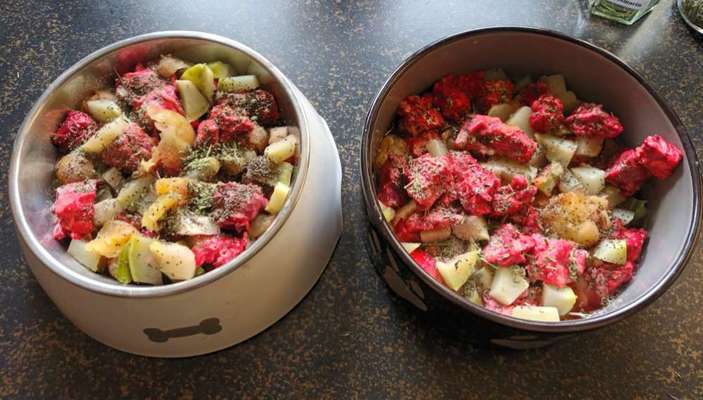 Zeigt her Eure Futternäpfe-Beitrag-Bild