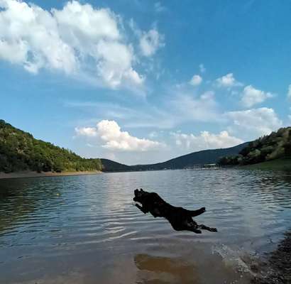 Fotowettbewerb Natur-Beitrag-Bild