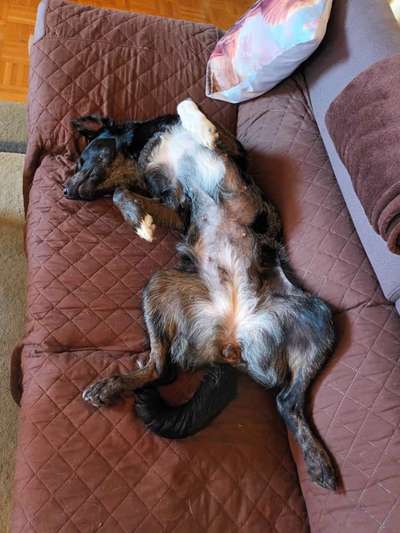 Lustige Grimassen & verrückte Posen-Beitrag-Bild