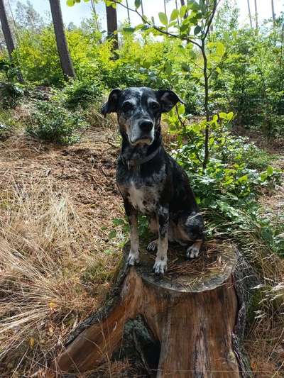 Fotowettbewerb Natur-Beitrag-Bild