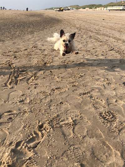 Fotochallenge Nr. 52 „Spring!“-Beitrag-Bild