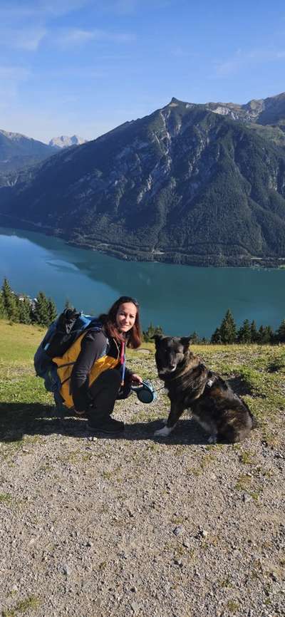 Hundetreffen-Spielen und Spazieren gehen-Bild