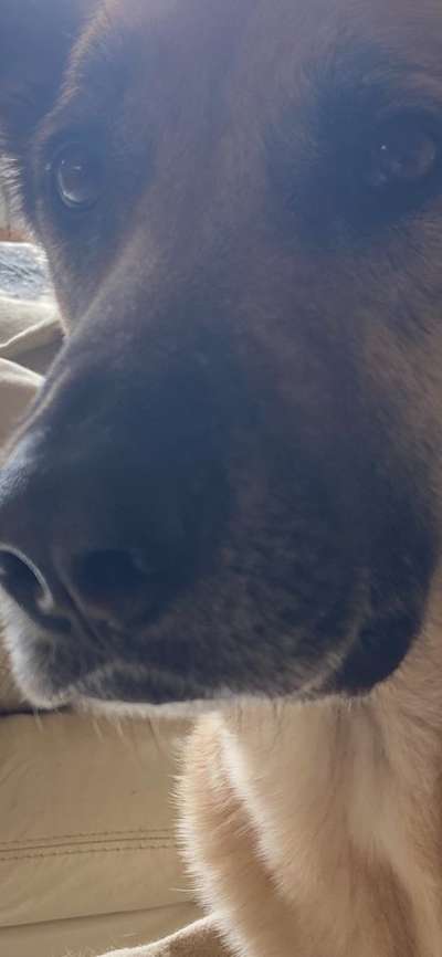 42. Handy Fotochallenge - Den richtigen Riecher haben-Beitrag-Bild