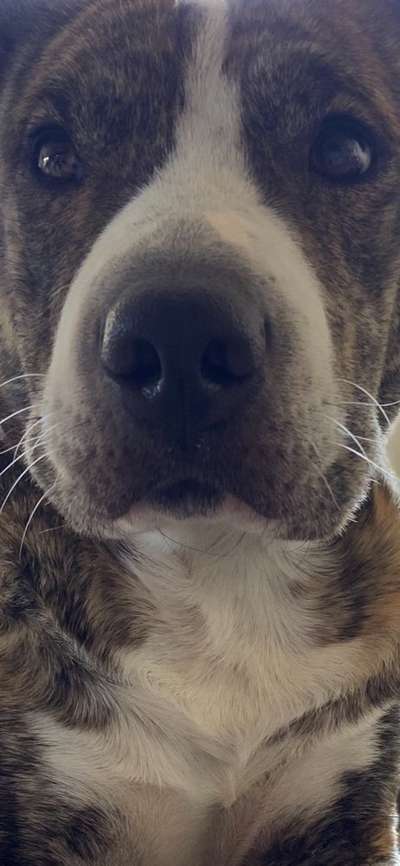 42. Handy Fotochallenge - Den richtigen Riecher haben-Beitrag-Bild