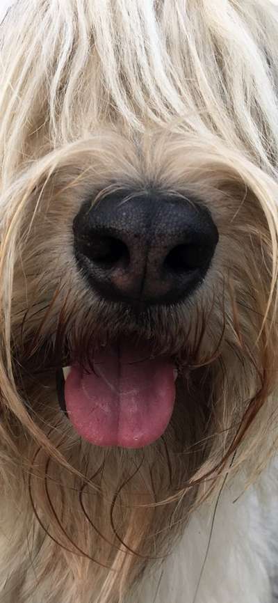 42. Handy Fotochallenge - Den richtigen Riecher haben-Beitrag-Bild