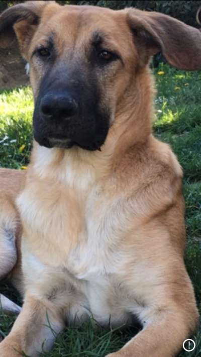 Lieblingsbild-Beitrag-Bild