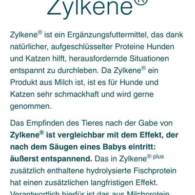 Angst vor Auto, Übelkeit-Beitrag-Bild